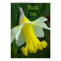 Thank You Card - Yellow Daffodil