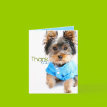 Thank You Card_Yorkie cards