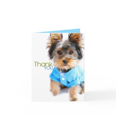 Thank You Cards