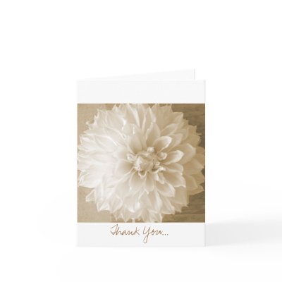 Thank You... Cards