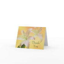 Thank You cards by photoinspiration Thank You cards
