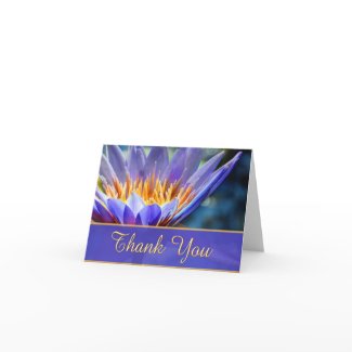 Thank You cards card