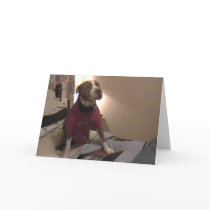 Thank You Cards by deepsouthblues Thank You Cards