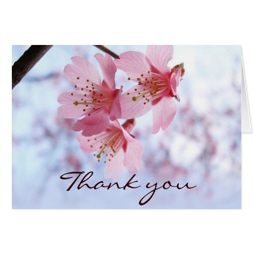 Thank You cards