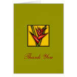 Thank You Cards