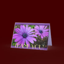 Thank You Cards Daisies Flowers Custom Greeting Ca cards