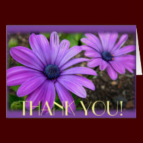 Thank You Cards Daisies Flowers Custom Greeting Ca cards