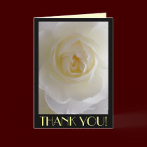 Thank You Cards White Flowers Custom Greeting Card cards
