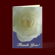 Thank You Cards White Flowers Custom Greeting Card cards