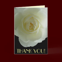 Thank You Cards White Flowers Custom Greeting Card cards