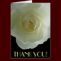 Thank You Cards White Flowers Custom Greeting Card cards