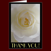 Thank You Cards White Flowers Custom Greeting Card cards