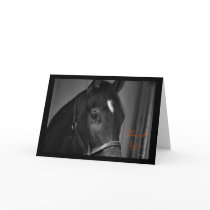 Thank You caring appreciation horse thanks Greeting Cards
