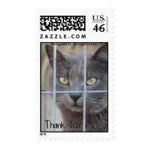 Thank You! Cat Stamps