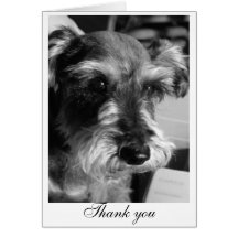 Thank you (Charmin) Greeting Card