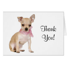 Thank You  Chihuahua Puppy Dog Greeting Card