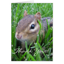 Thank you chipmunk greeting card