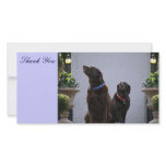 Thank You, Chocolate Labs Personalized Photo Card