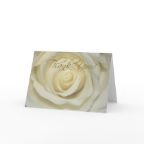 Thank you Cream Rose Cards cards