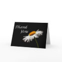 Thank you Daisy cards by kklawiter Thank you Daisy cards