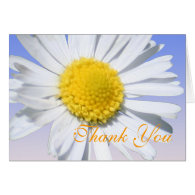 thank you,daisy flower greeting card