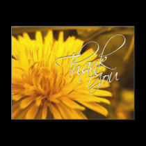Thank You Dandelion Yellow Flower Postcard
