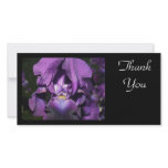Thank You-Deep Purple Iris photo cards