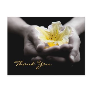 Thank You Delicate Yellow Flower In Hands