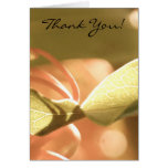 THANK YOU Dream Card
