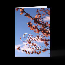 Thank You Flower Blossoms Card cards