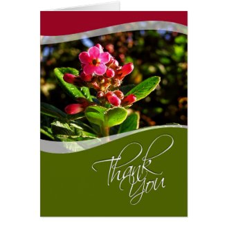  Peacock Green Fractal Lace Thank You Greeting Cards