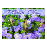 Thank You flower garden invitations