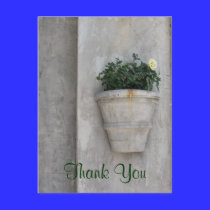 Thank You flower postcards