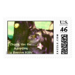 Thank You for Adopting A Rescue Kitty Postage Stamp