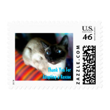Thank You for Adopting a Rescue. Siamese Cat Stamp