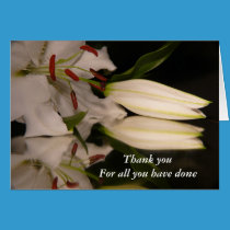 Thank you For all you have done cards