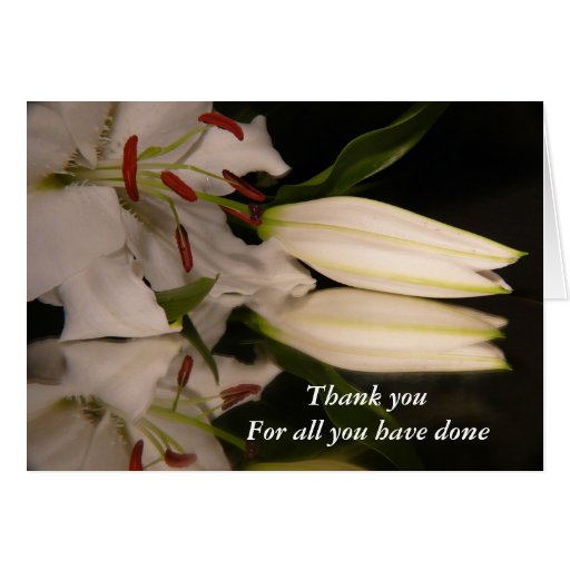 Thank you For all you have done Card | Zazzle