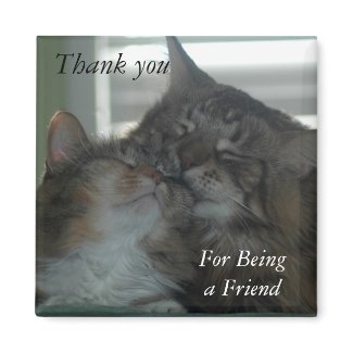 Thank you for being a friend Magnet magnet