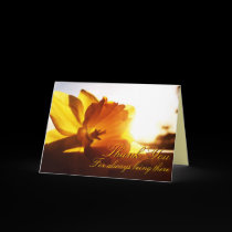Thank You for being There.. Daffodil Greeting Card cards