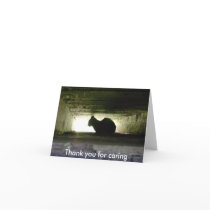 Thank you for caring cards