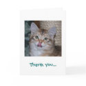 Thank You For Dinner Card by ArtistNikki Thank You For Dinner Card