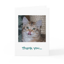 Thank You For Dinner Card