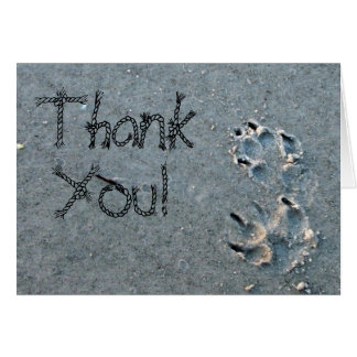 Thank You For Pet Sitting Cards | Zazzle