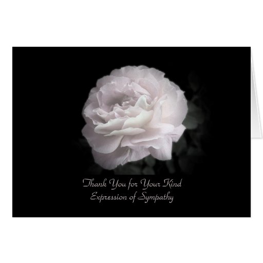 thank-you-for-sympathy-one-pale-pink-rose-card-zazzle