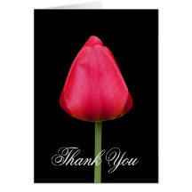 Thank you for the interview greeting card, tulip