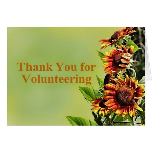 Thank You For Volunteering with Fall Flower Photo Greeting Card Zazzle