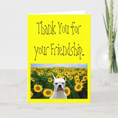 thank_you_for_your_friendship_boxer_gree