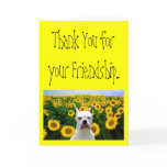 Thank You for your Friendship boxer greeting card