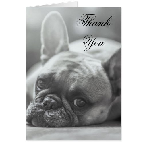 Thank You French Bulldog dog greeting card | Zazzle