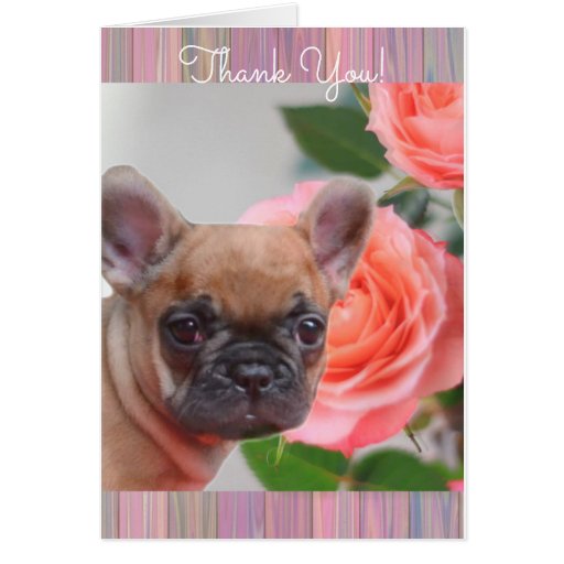 Thank You French Bulldog greeting card | Zazzle